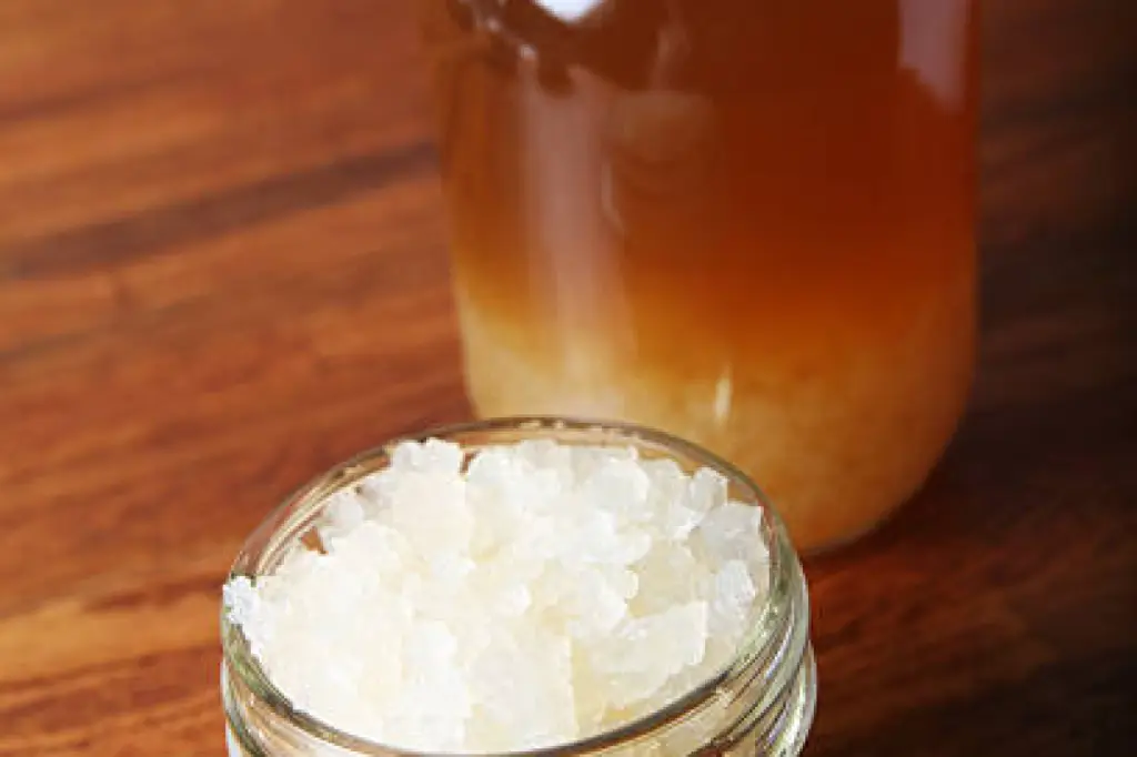 vatten kefir gryn.webp