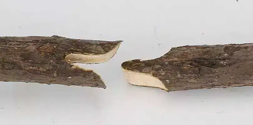 ymptang resultat.webp