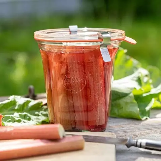 WECK Quadro glas 545ml rabarber.webp