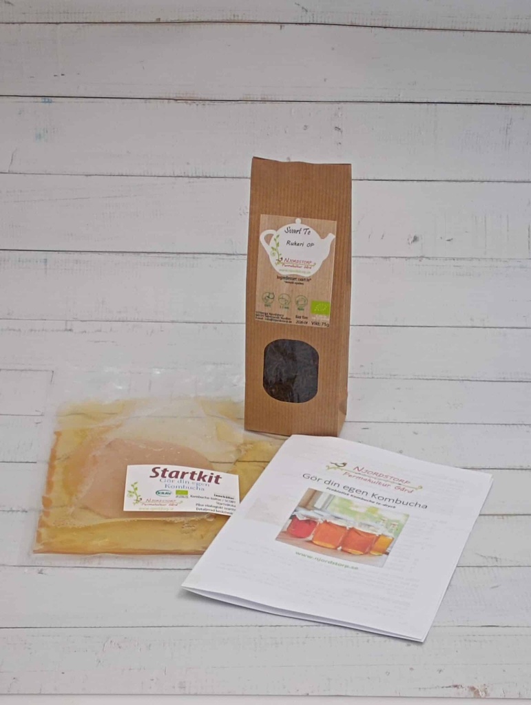 [SKkombuchaSvartte] Startkit Kombucha inkl. 75g ekologiskt svartte