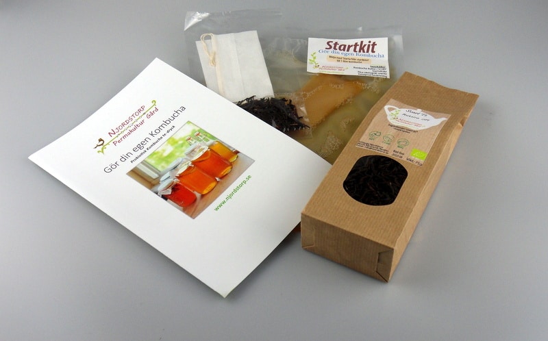 [SKbigfive] Kombucha starter kit incl. The Big Five teas