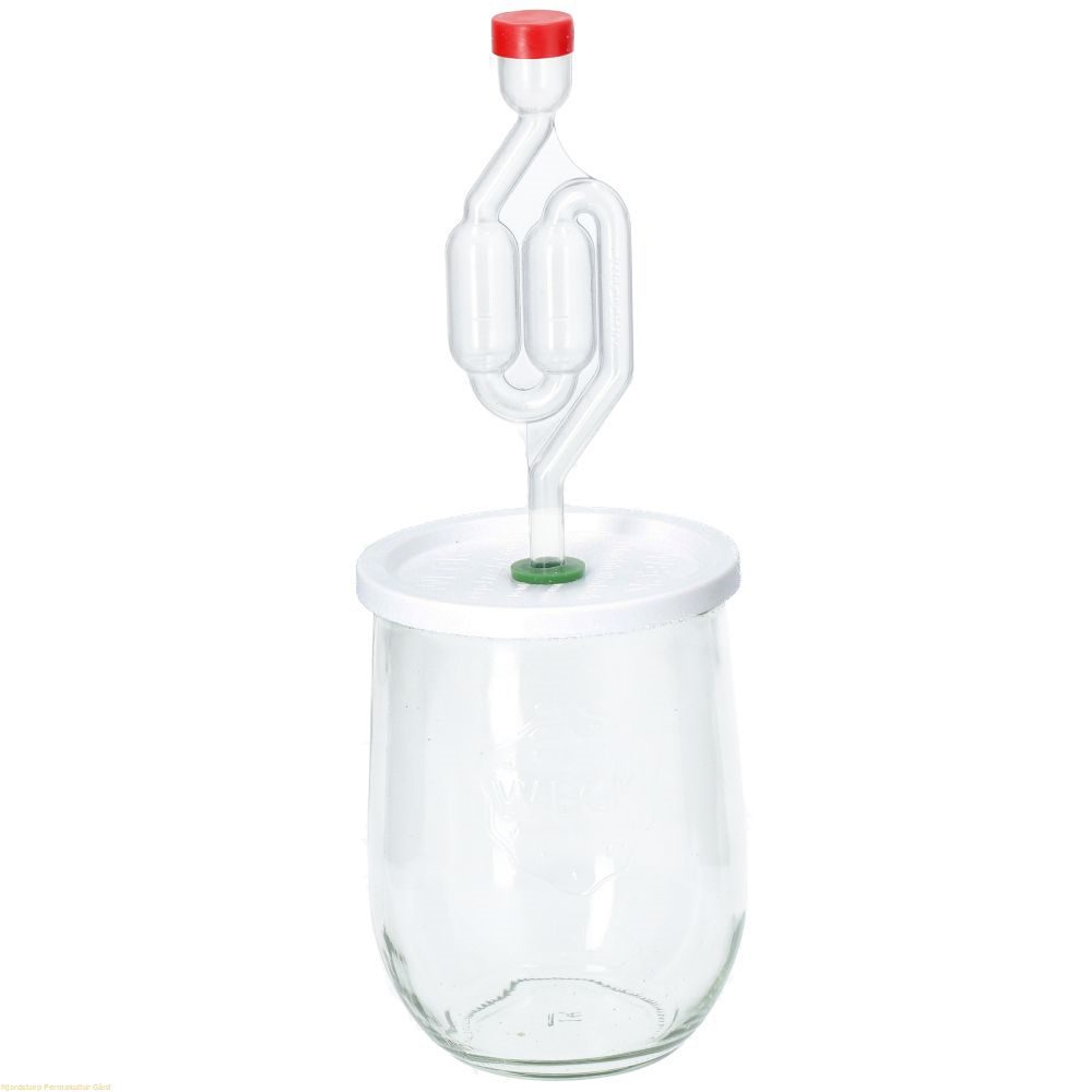 Mini kimchi/sauerkraut starter kit with container (Sauerkraut)