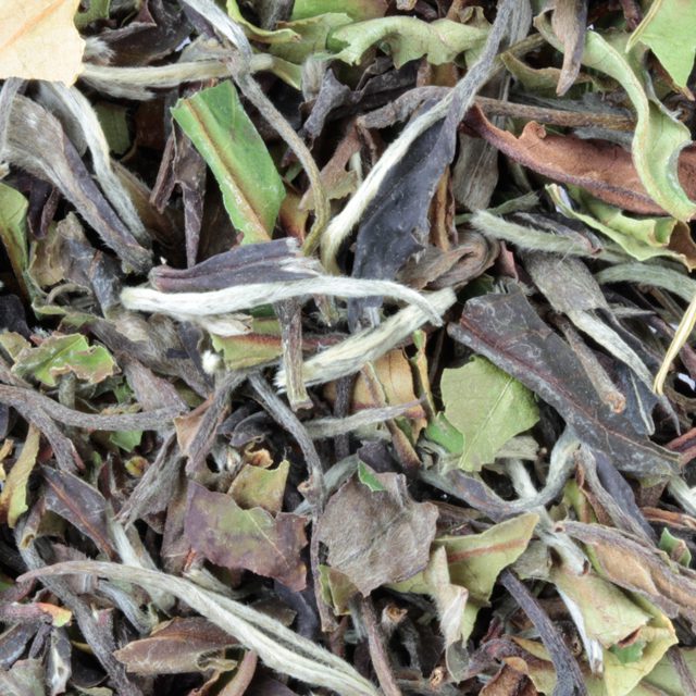 [NTEG016] Te vitt, Bai Mu Dan