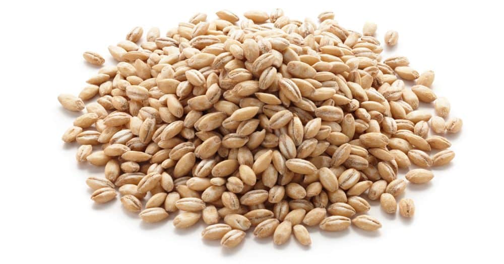 [Pärlkorn750g] Organic Pearl Barley