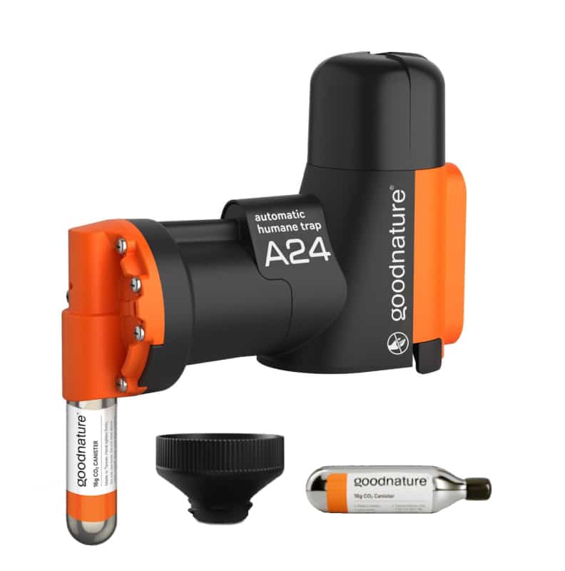 [A24goodnature] Goodnature A24 mousetrap and rat trap