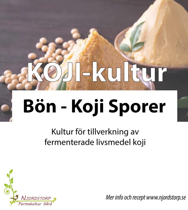 [KULkoji25] Koji starter for beans (25 g)