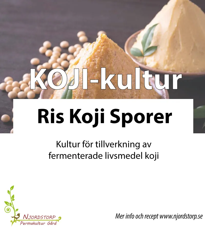 Koji startkultur till ris (25 g)